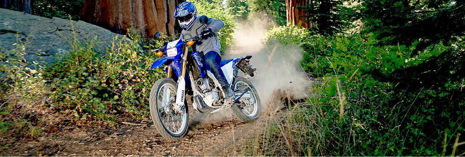 WR250R 2020