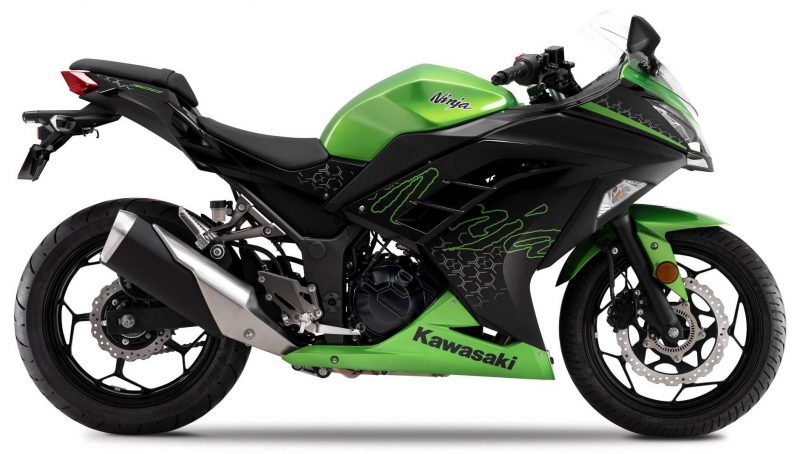 ninja 300 bs6 colours